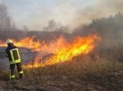 На Житомирщині за добу вигоріло до 500 гектарів лісу