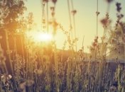 Способы борьбы с лишними килограммами 