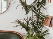 Як використовувати стиль Urban Jungle для вашої оселі