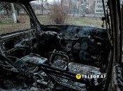 От авто остались полуистлевшие остатки