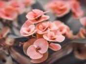 Красивые поздравления с днем рождения на 21 октября в прозе и открытках