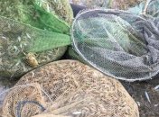 Двое россиян и украинец наловили краснокнижных крабов на 5 миллионов