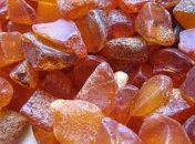 Пограничники нашли новые янтарные "плантации" на Ровенщине (Видео)