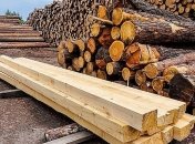 В Украине новые правила продажи древесины 