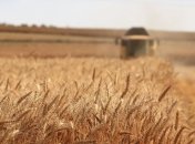 Україна може отримати новий показник врожайності за 2020 рік