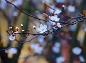 Погода в Украине 3 апреля: сохранится тепло