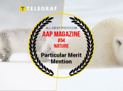 Ілюстративне фото