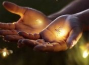 Популяция жуков-светлячков постепенно сокращается - экологи