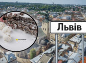 Погода во Львове