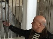 Москаль хочет провести на Луганщине соревнования по конному спорту