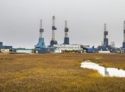 Трамп планирует расширить добычу нефти в заповеднике на Аляске