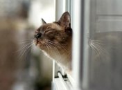 В Украине изменится погода