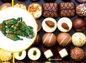 Иллюстративное фото