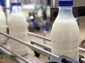 Экспорт молочной продукции из Украины сократился на $79 млн 