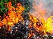 В Минэкоэнерго напомнили об ответственности за сжигание листьев 