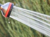 Їм було весело.