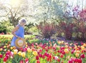 Прогноз для Тельців, Стрільців та Водоліїв