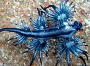 Ученые рассказали об интересных последствиях глобального потепления