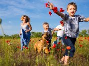 Детская афиша на 12-13 июля