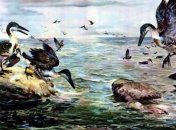 Ученые раскрыли неизвестные ранее подробности превращения динозавров в птиц