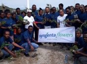 Эфиопия установила мировой рекорд, посадив более 350 млн деревьев за один день