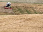 В России засуха погубила посевы на 1,5 млн га