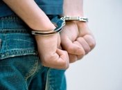 Американец хотел пронести в кинозал на фильм о Бэтмене пистолет