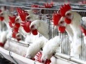 Экологи заявляют об угрозе катастрофы в Винницкой области