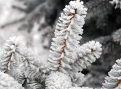 Погода в Украине на 16 января: во всех регионах ожидается снег