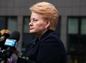 Грибаускайте обвинила власть и оппозицию в ситуации в Украине