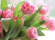 Синоптики рассказали, какой будет погода 8 марта