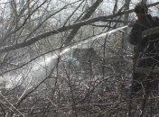 Ситуация с пожарами: В Чернобыльской зоне локализованы все очаги возгорания (Фото)