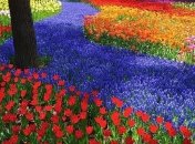 Вы захотите там побывать: малоизвестные туристические места мира (Фото)