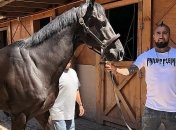 У футболиста Барселоны суд отобрал четыре дома