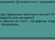 Этот прикол оценил даже слон: анекдоты на вечер