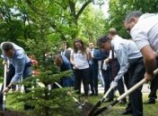В Киеве Кличко с послом Израиля высадили деревья (Видео)