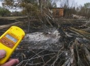 В ГСЧС доложили о радиационном фоне в Чернобыльской зоне
