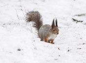 Штормовой ветер, "плюс" и гололед: синоптики предупредили об ухудшении погоды