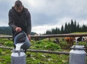 Молоко "от бабушек" остается: введение нового стандарта о закупках отсрочили