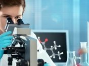 Ученые создали первую в мире бактерию-"киборга"