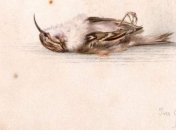 В Антарктиде случайно обнаружили грандиозную находку