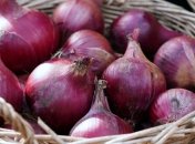 Репчатый лук получится большим и здоровым