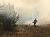 Пожары: В ГСЧС отчитались о ситуации под Чернобылем (Фото)