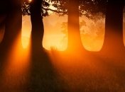 Бабье лето в Украине начнется 8 октября