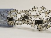 Робот, который повторяет все способы передвижения червя 