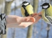 Настоящее весеннее тепло: синоптик порадовала прогнозом погоды на пятницу