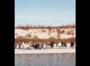 Происшествие в Алтайском крае