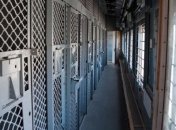 Засуджений на довічне ув’язнення вбив у поїзді нацгвардійця - Аброськін