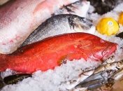 Рыба спасет от старческого заболевания