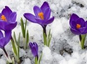 Погода в Украине 13 марта: преимущественно без осадков